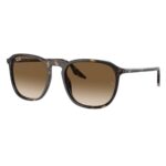 Ray Ban RB2203 902/51 55