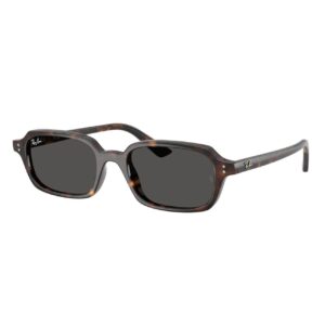 Ray Ban RB4455 135987 52