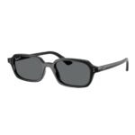 Ray Ban RB4455 667781 49