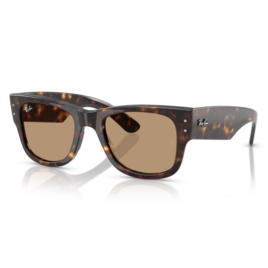 IMG_2389 Ray Ban RB0840S 902/53 51 - Slika 1