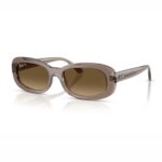 Ray Ban RB2221 6827/M2 53